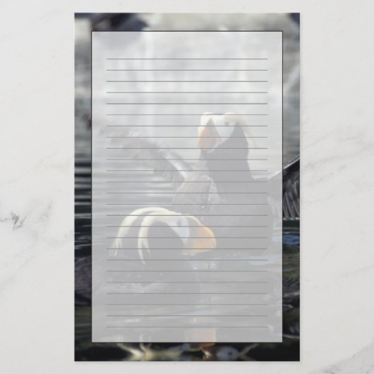 Alaska kuifpapegaaiduikers briefpapier (Voorkant)