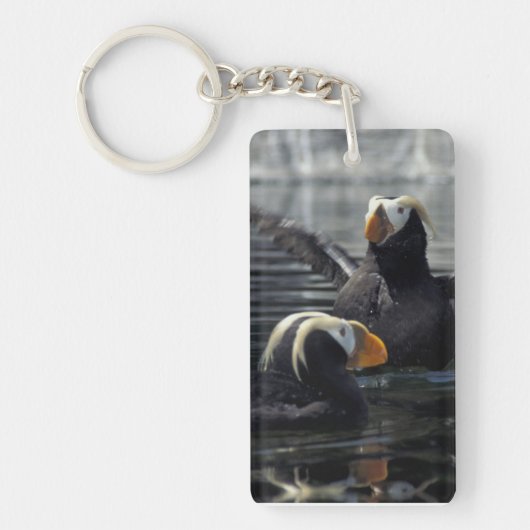 Alaska Kuifpapegaaiduikers Sleutelhanger (Voorkant)
