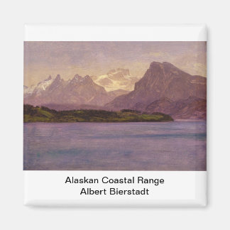 Alaska Kustgebied Magneet