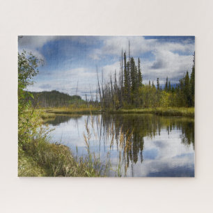 Alaska Landschap Jigzaag Puzzle Legpuzzel