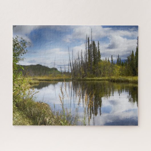 Alaska Landschap Jigzaag Puzzle Legpuzzel (Horizontaal)