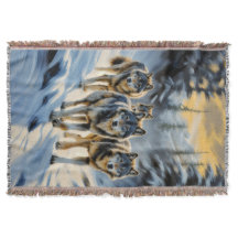 Alaska Landschap Wild Wolf Pack Winter Scene