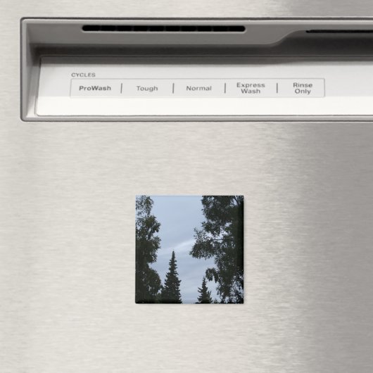 Alaska lucht magneet (Insitu (Vaatwasser))