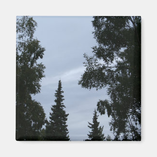 Alaska lucht magneet