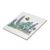 Alaska Lupine Waterverf Tegeltje (Zijkant)