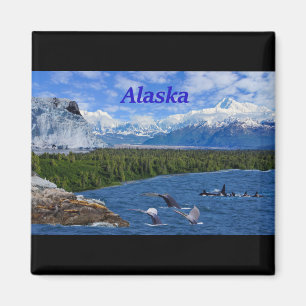 Alaska Magneet