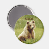 Alaska Magnet met grizzly beer cub. (Voorkant / Achterkant)
