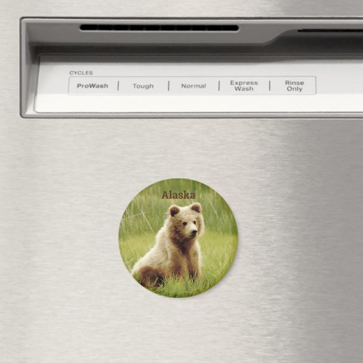Alaska Magnet met grizzly beer cub. (Insitu (Vaatwasser))