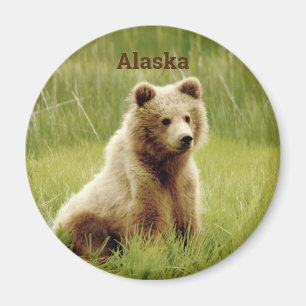 Alaska Magnet met grizzly beer cub.