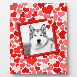 Alaska Malamute Hond Valentijns Hart Fotoplaat