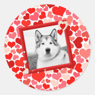 Alaska Malamute Hond Valentijns Hart Ronde Sticker