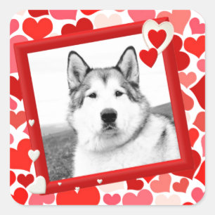 Alaska Malamute Hond Valentijns Hart Vierkante Sticker