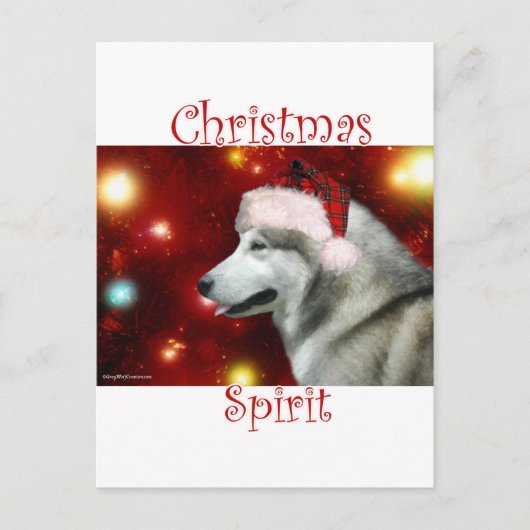 Alaska Malamute Spirit Briefkaart (Voorkant)