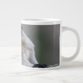 alaska marmot grote koffiekop (Rechts)