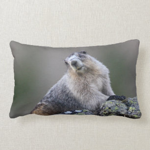 alaska marmot kussen