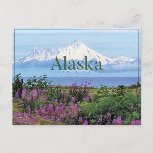 Alaska Mooie Natuur Briefkaart (Voorkant)