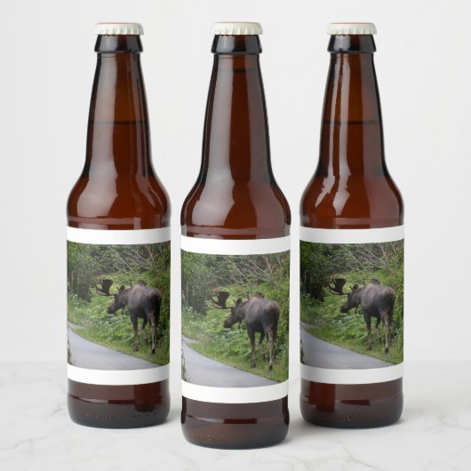 Alaska - Moose Bier Etiket (Flessen)