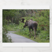 Alaska - Moose Bier Etiket (Enkel label)