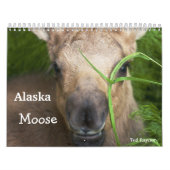 Alaska Moose Kalender (Hoes)