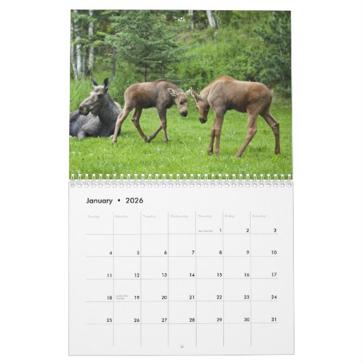 Alaska Moose Kalender (Jan 2026)