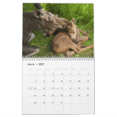 Alaska Moose Kalender (Mar 2027)