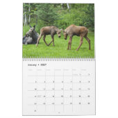 Alaska Moose Kalender (Jan 2027)