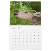 Alaska Moose Kalender (Feb 2027)