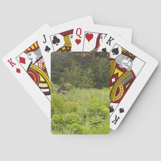 Alaska Moose Poker Card Deck Pokerkaarten (Achterkant)