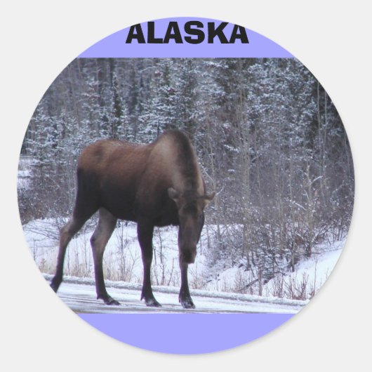 Alaska Moose Ronde Sticker (Voorkant)