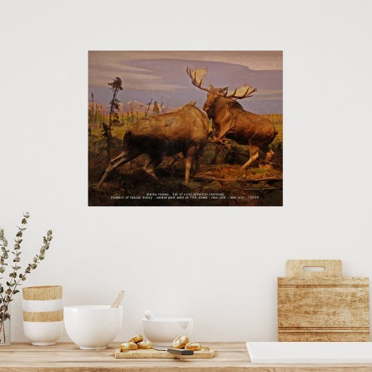 alaska mose poster (Keuken)