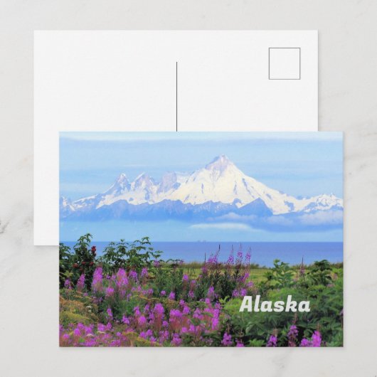 Alaska, Mount Iliamna Glacier en Fireweed Flowers Briefkaart (Voorkant / Achterkant)