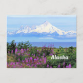 Alaska, Mount Iliamna Glacier en Fireweed Flowers Briefkaart (Voorkant)