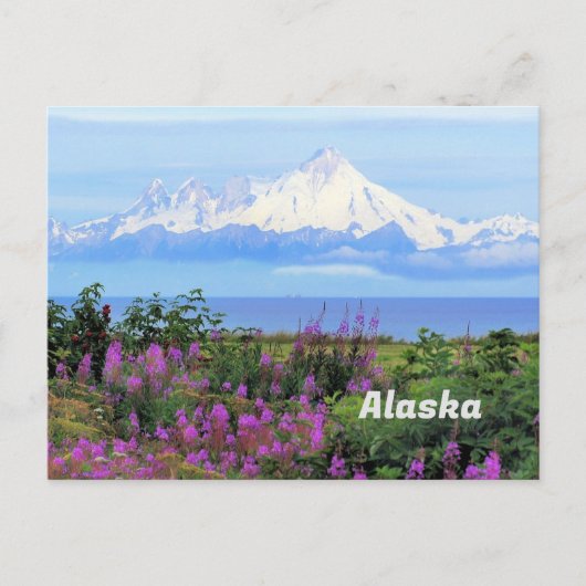 Alaska, Mount Iliamna Glacier en Fireweed Flowers Briefkaart (Voorkant)