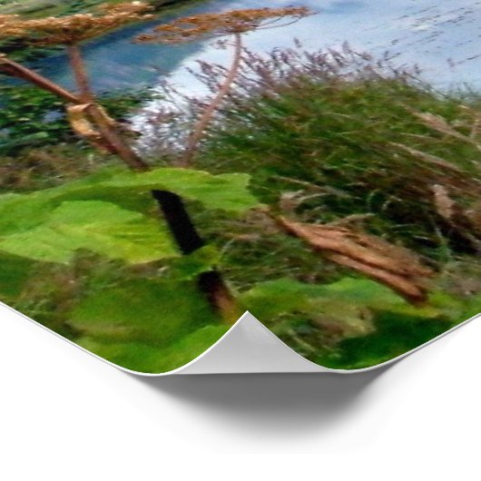 Alaska Mountain Poster (Hoek)