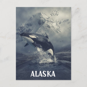 Alaska Mountains Killer Whale Orca Briefkaart