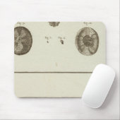 Alaska Muismat (Met muis)