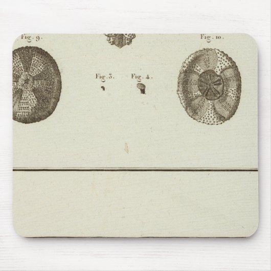 Alaska Muismat (Voorkant)