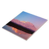 Alaska, Nationaal Park Denali, Mt. McKinley op Tegeltje (Zijkant)