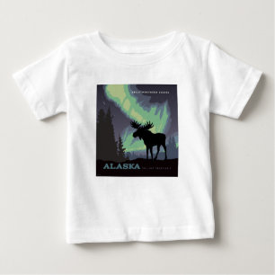Alaska   Noorderlicht eland