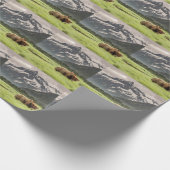 Alaska oevers, grizzly beer cadeaupapier (Hoek)