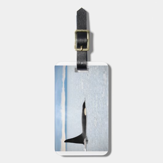 Alaska - Orca Bagagelabel (Voorkant verticaal)