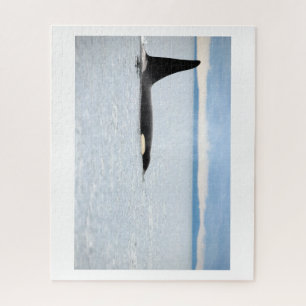 Alaska - Orca Legpuzzel