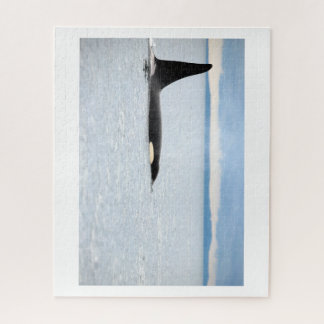 Alaska - Orca Legpuzzel