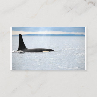 Alaska - Orca Visitekaartje