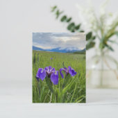 Alaska Paars Flower Botanical Mountain Briefkaart (Staand voorkant)