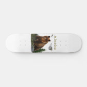 Alaska Persoonlijk Skateboard (Horizontaal)