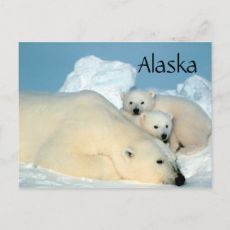Alaska polair beer met briefkaart