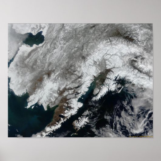 Alaska Poster (Voorkant)