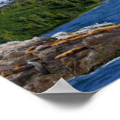 Alaska Poster (Hoek)