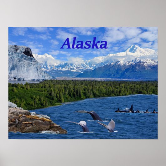 Alaska Poster (Voorkant)